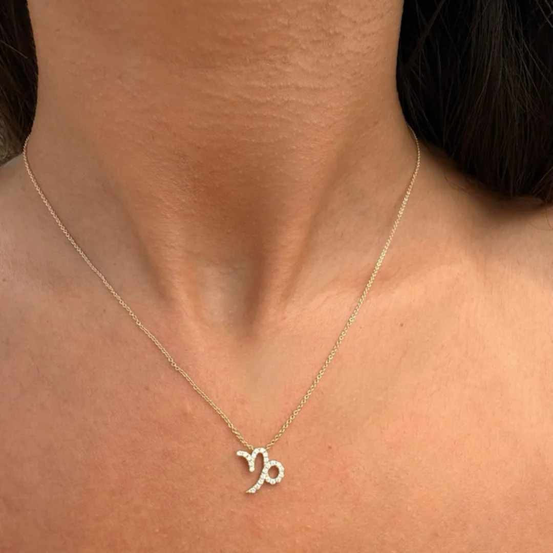 Capricorn Diamond Zodiac Necklace - Image 3