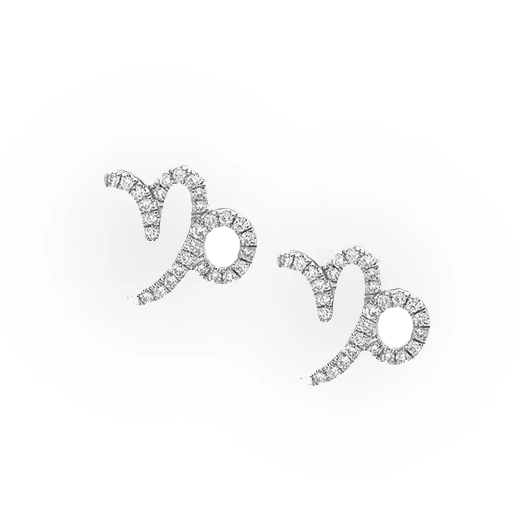 Capricorn Diamond Zodiac Studs